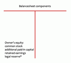 Balance sheet owner's equity