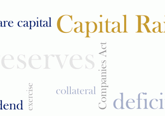 Business English: capital raise