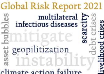 global risk report 2021